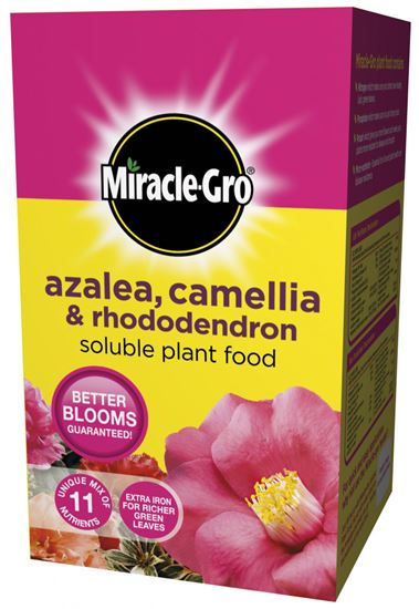 miracle-gro-azalea-camellia--rhododendron-soluble-plant-food