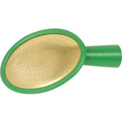 fine-as-rain-oval-plastic-rose