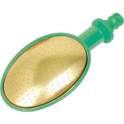 fine-as-rain-hosespray-rose