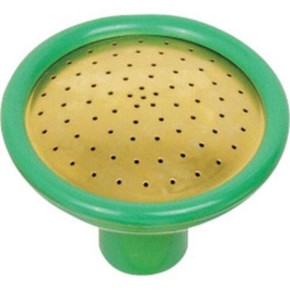 fine-as-rain-spray-rose