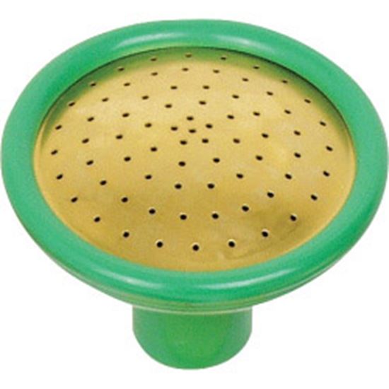 fine-as-rain-spray-rose