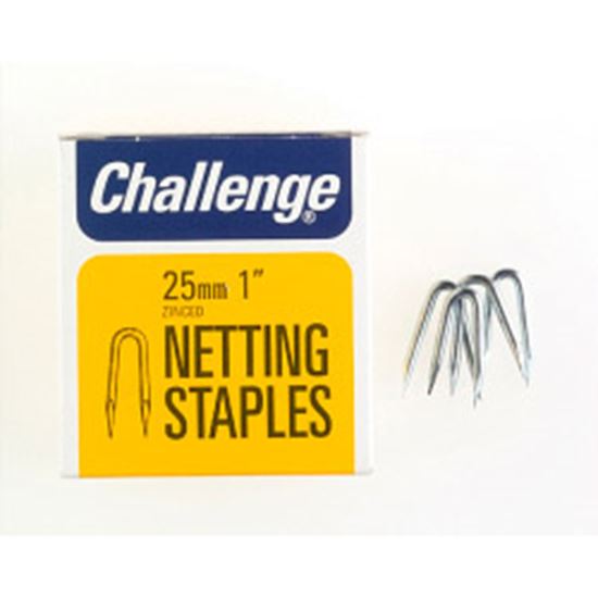 challenge-netting-staples---zinc-plated-box-pack
