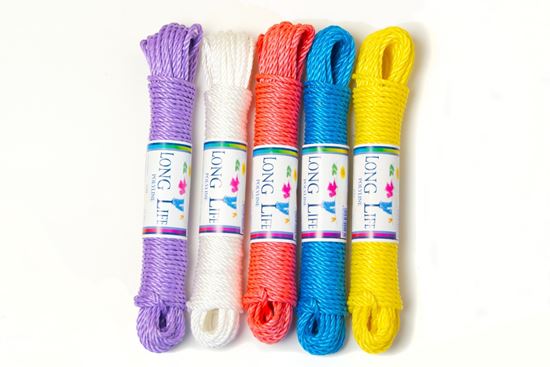 everlasto-longlife-polyline