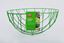 ambassador-hanging-basket