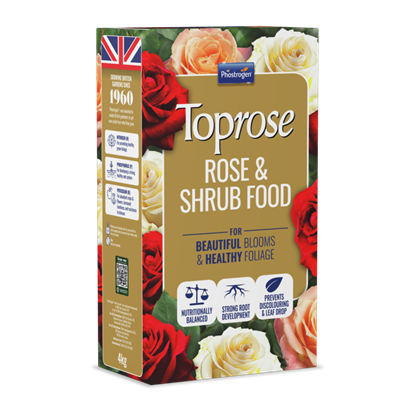 toprose-rose--shrub-feed