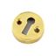 securit-victorian-escutcheon-open