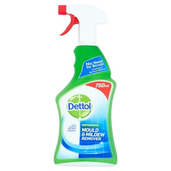 dettol-mould--mildew-remover