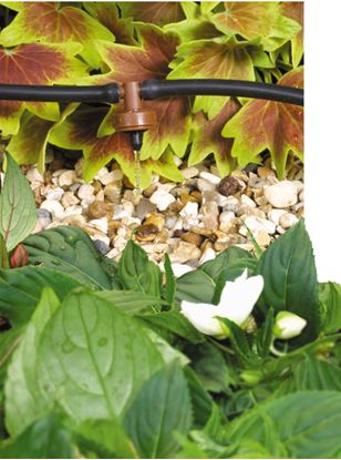 hozelock-4-lph-in-line-pressure-compensating-dripper