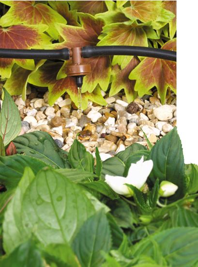 hozelock-4-lph-in-line-pressure-compensating-dripper