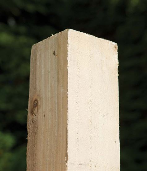 rmpp-pressure-treated-fence-post