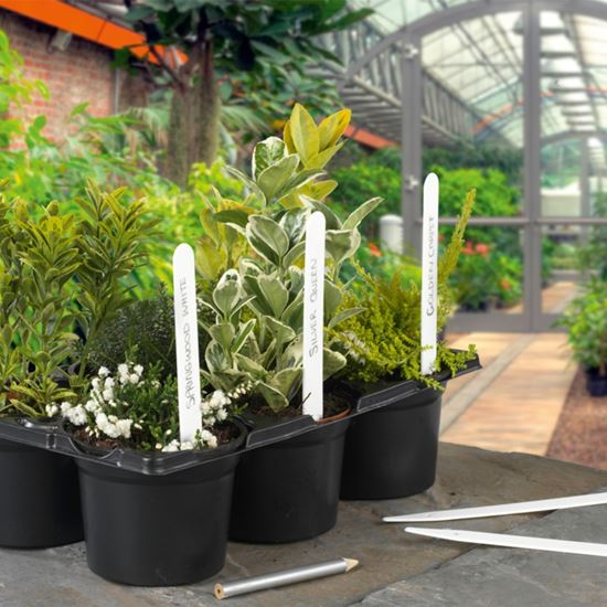 ambassador-plant-labels