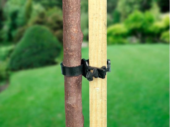 ambassador-soft-shrub-ties