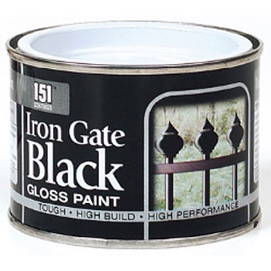 151-coatings-iron-gate-gloss-paint