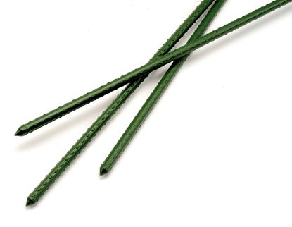 ambassador-garden-stake-single