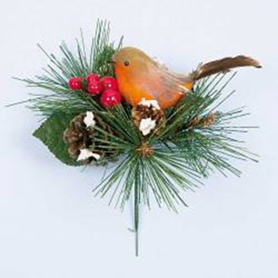 premier-robin-with-pine-cone-pick