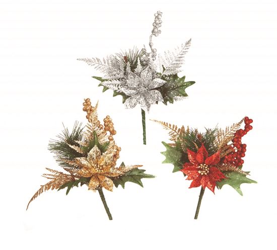 premier-poinsettia-pick