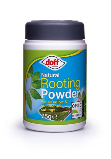 doff-natural-rooting-powder