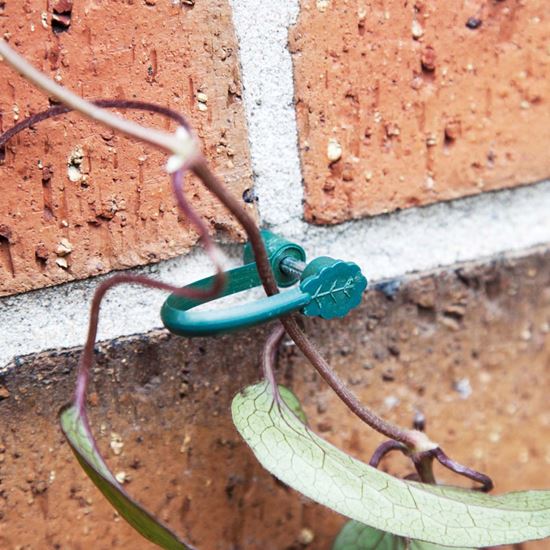 ambassador-stem-support-clips