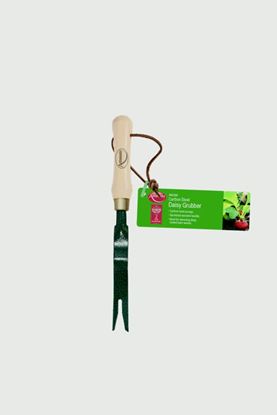 ambassador-carbon-steel-daisy-grubber