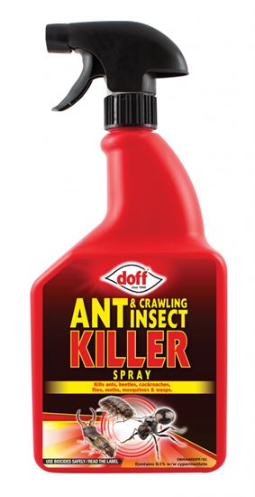 doff-ant--crawling-insect--germ-killer