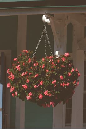 ambassador-swivel-hooks