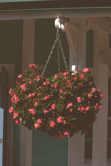 ambassador-swivel-hooks