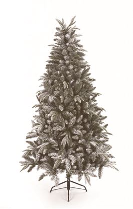 premier-flocked-lapland-spruce-tree