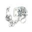 securit-narrow-door-chain-cp