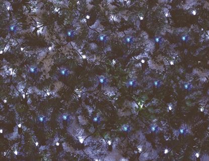 premier-multi-action-blue-white-net-light