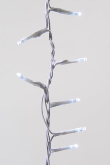 kaemingk-led-twinkle-compact-lights