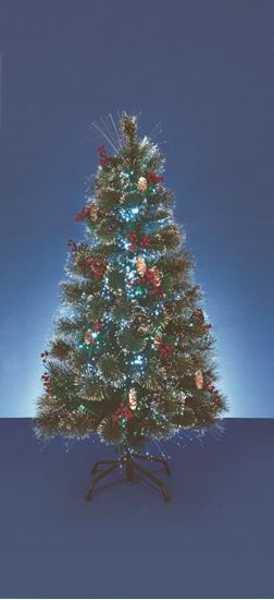 premier-snow-tipped-bottle-brush-tree