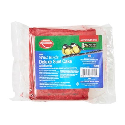 ambassador-deluxe-suet-cake-with-berries