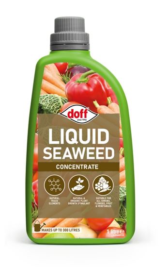 doff-liquid-seaweed-plant-feed