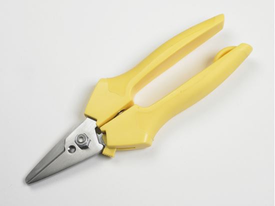 oasis-floral-strippers