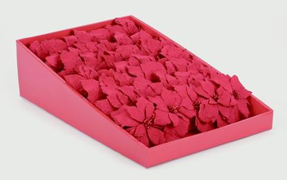 premier-poinsettia-clip