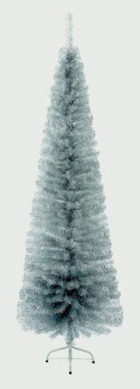 premier-silver-pencil-pine