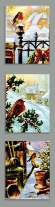 premier-snowy-robin-scene-canvas-6-leds