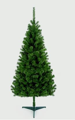 premier-douglas-fir-tree