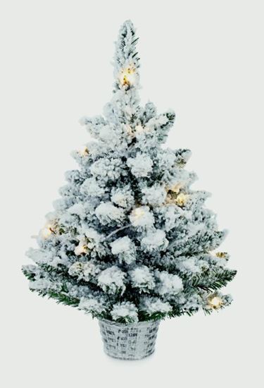 premier-prelit-flocked-tree-in-plastic-pot