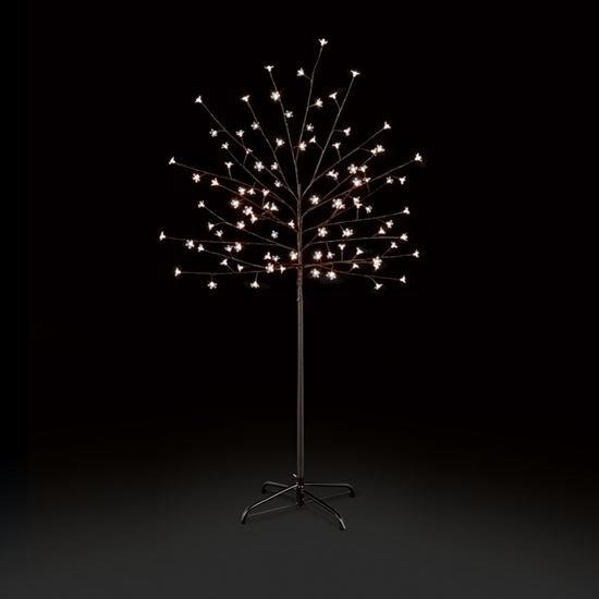 premier-cherry-tree-with-timer