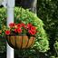 ambassador-flat-bar-hanging-basket