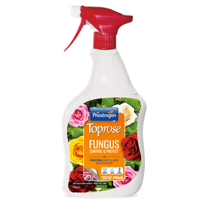 toprose-fungus-control--protect