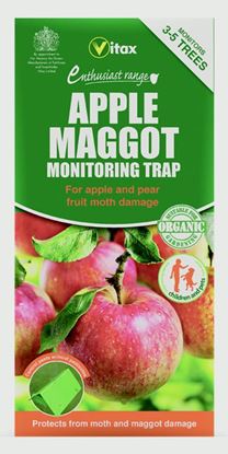 vitax-apple-maggot-monitoring-trap