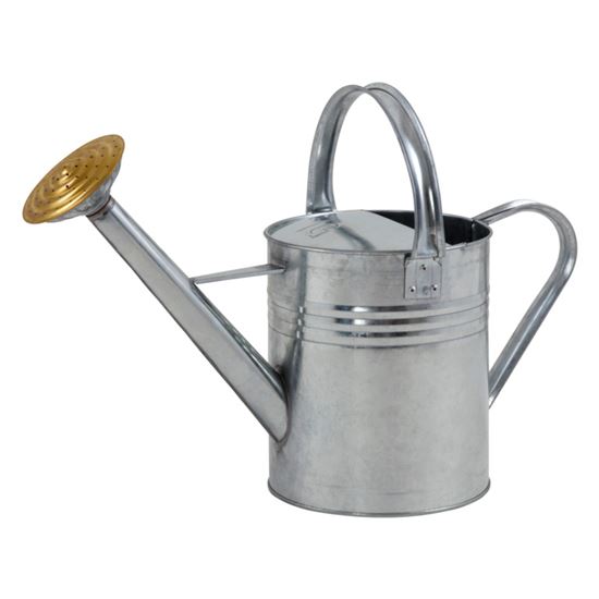 ambassador-galvanised-watering-can