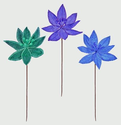 premier-mixed-poinsettia