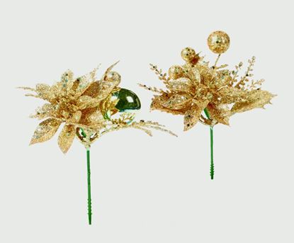 premier-poinsettia-pick