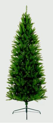 premier-slim-california-tree