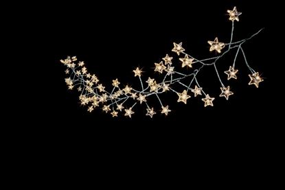 premier-multi-action-battery-operated-microbright-star-cluster