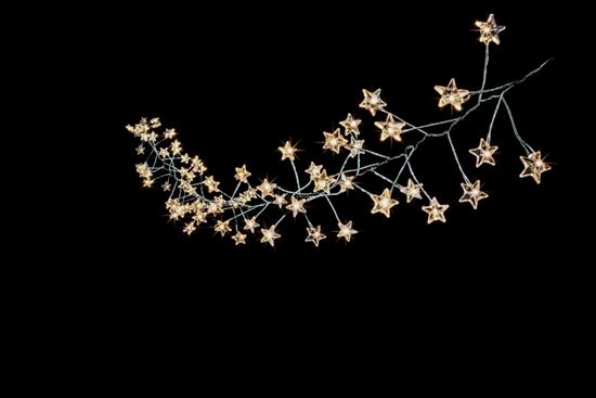 premier-multi-action-battery-operated-microbright-star-cluster