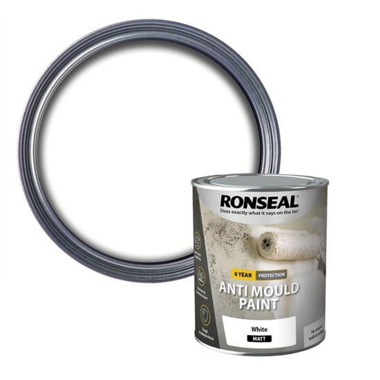 ronseal-6-year-anti-mould-paint-750ml